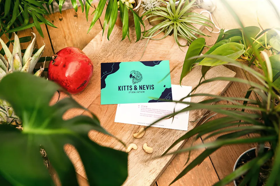 Kitts & Nevis — Corporate Design, still 3 of 9