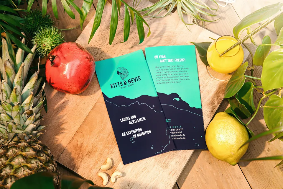 Kitts & Nevis — Corporate Design, still 5 of 9