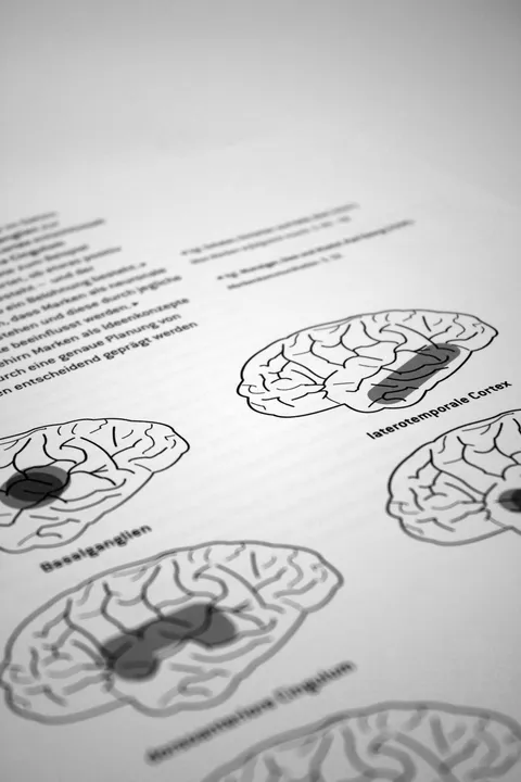 Lab — Motion Branding — Book, still 6 of 8