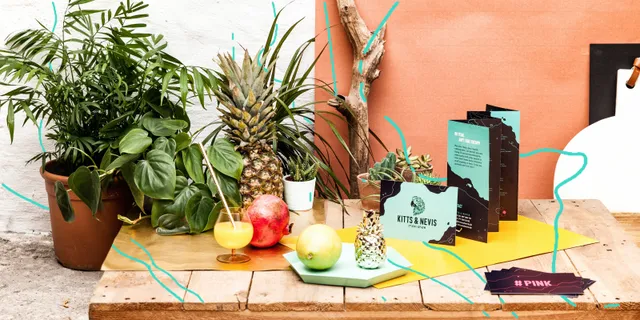 Kitts & Nevis — Corporate Design
