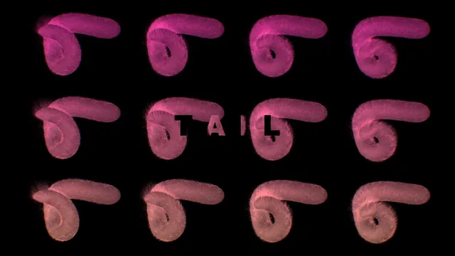 Styleframes 74