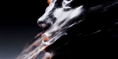 Lab — Eidolon
